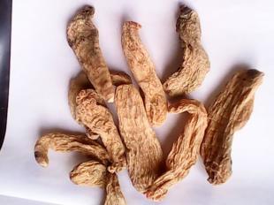 優(yōu)質(zhì)天麻 原生態(tài)天然綠色環(huán)保的農(nóng)副產(chǎn)品典范