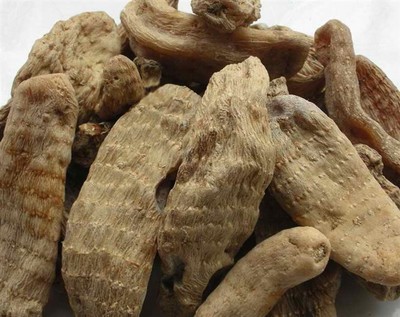 天麻藥用價(jià)值與貴州金茂生物科技的天麻優(yōu)勢(shì)