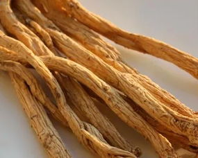 即墨古城年味濃 趕年集購隴南天麻，賞白馬人歌舞迎新春