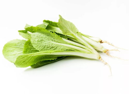 應(yīng)季養(yǎng)生｜冬季餐桌必備 這幾種時令蔬菜不僅營養(yǎng)豐富，還能增強抵抗力