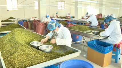 【鄉村行·看振興】高臺 脫水蔬菜走俏國際市場，特色產業賦能鄉村振興