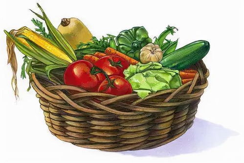 節前走訪菜市場 貨源充足價格穩，新春苗木添綠意