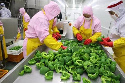 定邊探索推進(jìn)村干部待遇補(bǔ)貼與村集體經(jīng)濟(jì)收益掛鉤新辦法——以蔬菜產(chǎn)業(yè)發(fā)展為試點(diǎn)